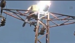 Thi thể thợ săn ong chết cháy trên cột điện cao thế