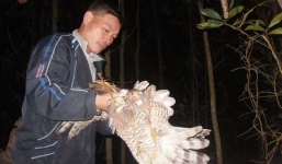 Theo dấu chân thợ săn chim trong đêm tối