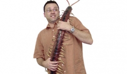 Động vật đột biến có kích thước khổng lồ