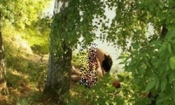 Đôi tình nhân 'mây mưa' trong công viên bị quay clip, tống tiền