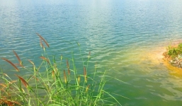  Giải mã hồ tử thần bí ẩn ở Làng đại học Thủ Đức