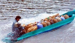 Clip: Thủ đoạn buôn lậu xăng dầu tinh vi ở Thanh Hóa, thu chục tỉ/tháng