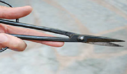 Cháu trai dùng kéo đâm chết thím đang mang bầu 5 tháng