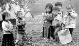 Bố mẹ sai đường, con thành “mồ côi”