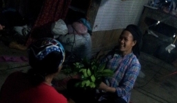 'Thánh cô' dùng lá bưởi đập liên tiếp vào ngực bệnh nhân