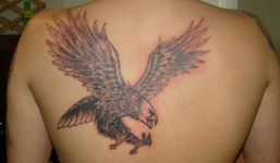 Khiêu khích thanh niên xăm lưng, bị giết theo kiểu giang hồ