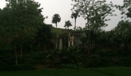 Vụ chồng chém vợ 20 nhát dao: Công an bắt tạm giam người chồng