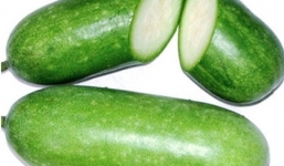 Khám phá công dụng chữa bệnh thần kỳ của quả bí đao