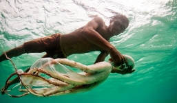 Cận cảnh cuộc sống của bộ tộc du mục biển cuối cùng trên thế giới