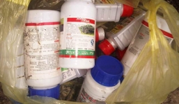 Sản xuất nấm ăn từ thuốc lạ