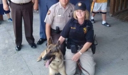 Cảnh sát bị cắn nát mặt vì cố chụp hình 'tự sướng' với chó nghiệp vụ