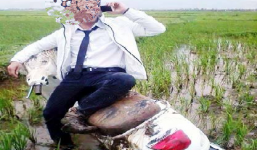 Bị cướp chém suýt chết vì nghe điện thoại iphone giữa đồng