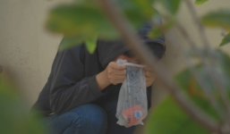 Phát hoảng: Thú chơi “hít keo chó” bùng phát trở lại