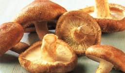 Những thực phẩm chống lại bệnh sởi nên bổ sung cho trẻ