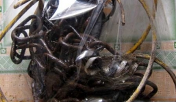 Cứu chó cưng, ông chủ bị điện giật chết