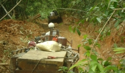 Kỷ luật 5 cán bộ kiểm lâm để lâm tặc phá rừng