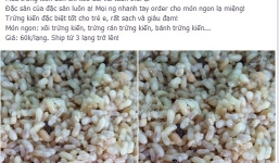 Sợ stress: Dân Hà Thành sốt ăn trứng kiến gai đen