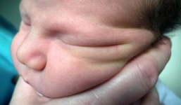 Bộ ảnh của người cha từng 'muốn ném con ra cửa sổ'