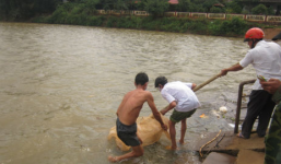 Bản tin 113 – chiều 29/4: Hoảng hồn phát hiện xác người dính vào lưới cá…