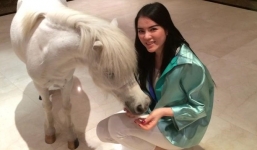 Lý Nhã Kỳ chơi sang khoe thú cưng ngựa trắng tí hon gây sốt