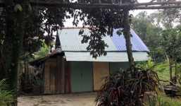 Án tình tay ba, ông lão 60 trút mưa dao đòi vợ