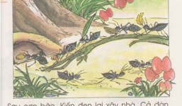 Giật mình với hình minh họa trong sách giáo khoa Tiếng Việt 1