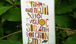 Giữa bao người xuôi ngược, sao anh lại chọn em?