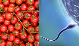 'Thần dược phòng the' có thể làm tăng 70\% số lượng tinh trùng