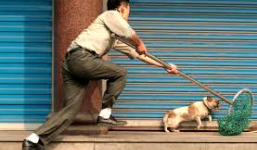 “Cẩu tặc” tung ớt bột, ném đá cảnh sát cơ động hòng tẩu thoát