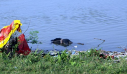 Xác chết đang phân hủy, nổi lềnh bềnh trên mặt nước