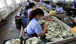 100 nhân viên xe bus đếm 'núi' tiền trong 10 tiếng