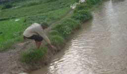 Cho kẹo rồi dẫn bé gái ra mương nước cưỡng hiếp