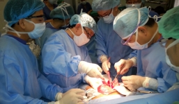 Hy hữu: Bác sĩ phẫu thuật cắt nhầm ống dẫn tinh của bệnh nhân