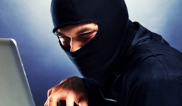 Mánh làm giàu của nhóm trí thức chuyên đưa phim sex lên mạng