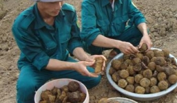 Phát hiện quả bom bi 'siêu khủng' ở Nghệ An