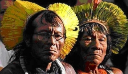 Kinh hoàng vợ cắt 'của quý' của chồng phơi khô làm...vòng đeo cổ