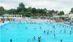 Đạo chích ngoại hành nghề tại bể bơi khách sạn