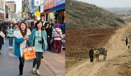 Bức tranh đối lập của hai miền Nam, Bắc Triều Tiên