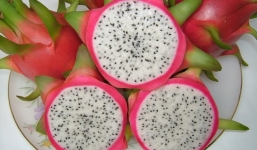 Mẹo giải nhiệt ngày hè với 5 loại quả cực mát