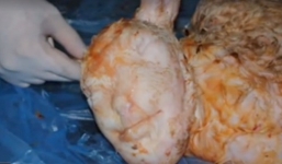 Sốc với hình ảnh chú cừu mới sinh mang khuôn mặt người