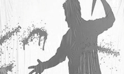 Nghi án cháu tâm thần sát hại bà nội