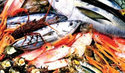 Những điều đại kỵ cần tránh tuyệt đối khi ăn hải sản
