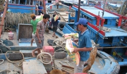 Bất chấp tàu Trung Quốc truy đuổi, ngư dân đồng loạt ra khơi