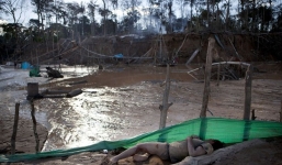 Cận cảnh cuộc sống trong bãi vàng khổng lồ hàng nghìn ha