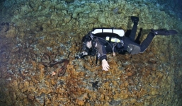 Rùng mình hang động chứa hài cốt bé gái cùng các loài vật khủng