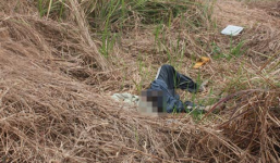 Xác người đàn ông chết bất thường trong vườn điều