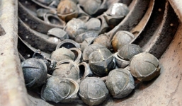 Bom bi phát nổ, 2 anh em ruột chết thảm tại chỗ