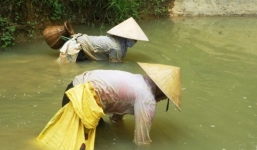 Rộ tin đồn xuất hiện “cua lạ” tại Thanh Hóa