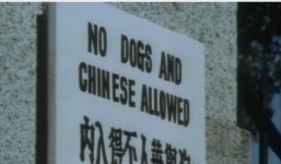 'Cấm chó và người Trung Quốc' - Bắc Kinh nổi giận với Madrid