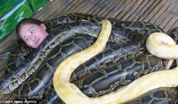 Rợn người với  dịch vụ mát xa bằng trăn khổng lồ